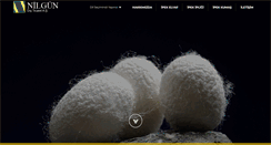 Desktop Screenshot of niltex.com